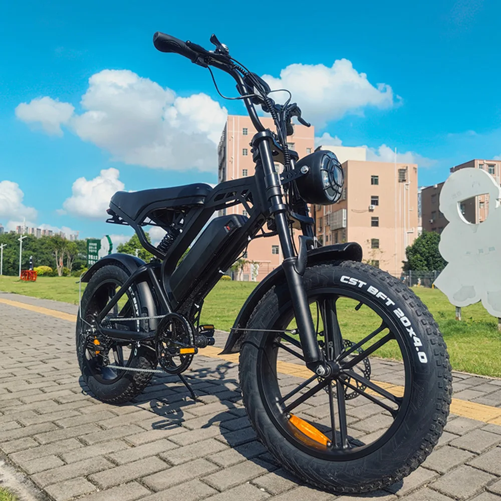 Hot Selling 750W Motor E-Bike Fat Tire Mountain Bike Fatbike Electric Bicycle Bike China Fat Bike Electr