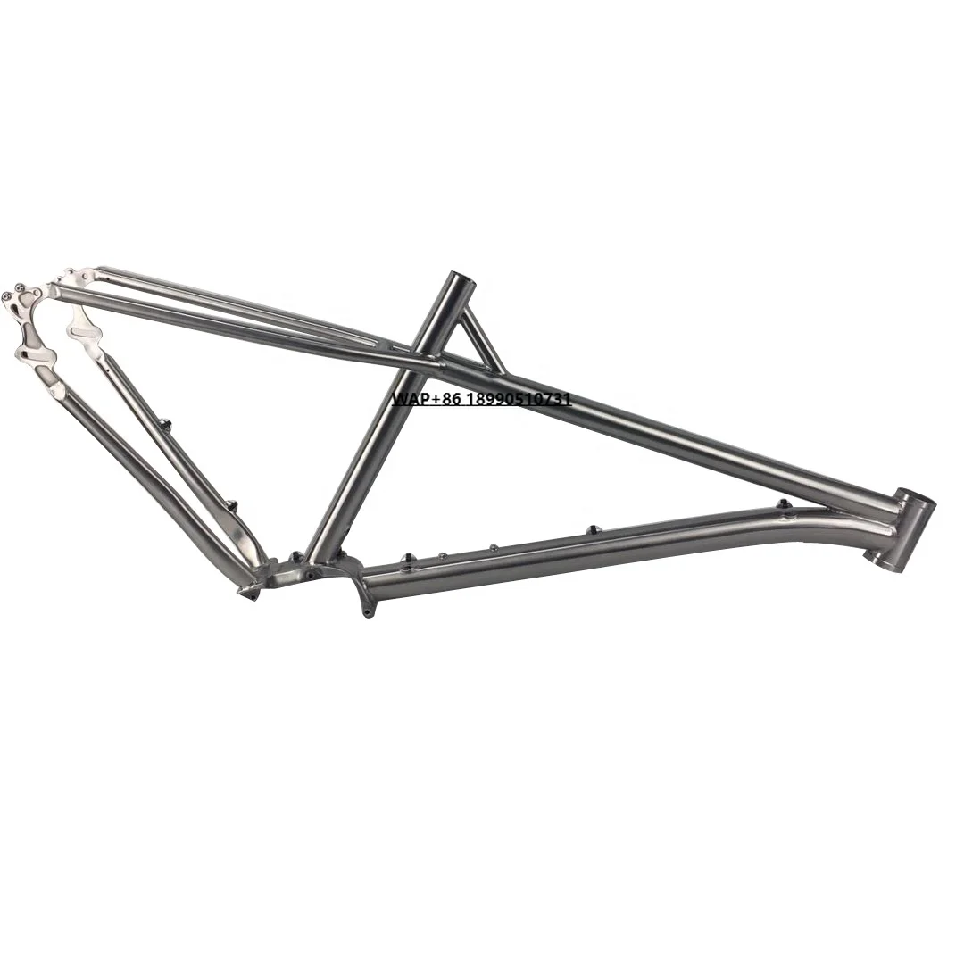 

Rare Gr9 3AL/2.5V Titanium Pinion Bicycle Frame for Sale