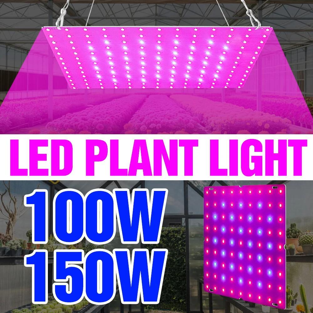 

Светодиодная лампа для растений 150 Вт, полный спектр, 100-277 В, Quantum Board, для гидропоники, теплиц, выращивания овощей в помещении