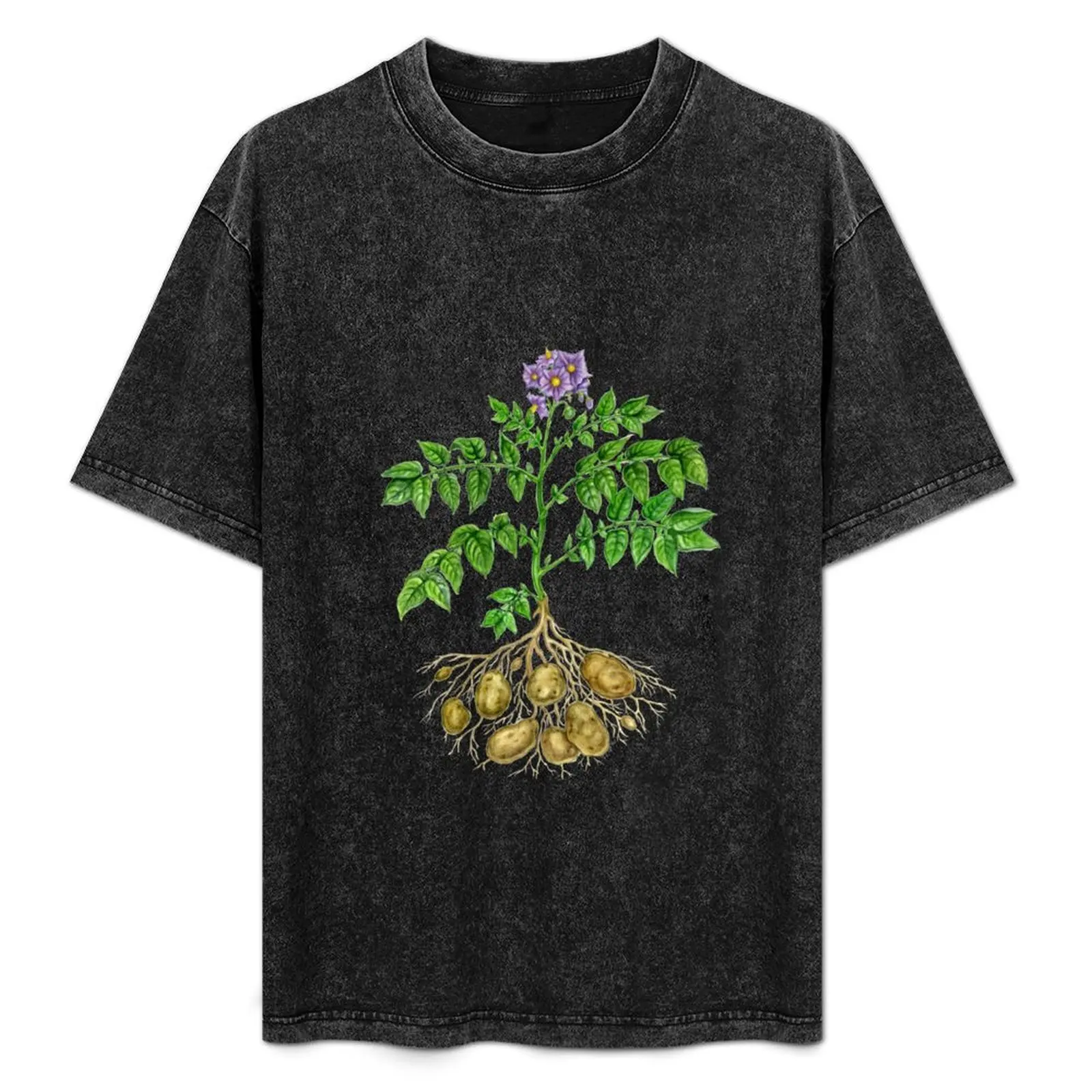 Camiseta de manga corta para entrenamiento deportivo Potato (Solanum tuberosum)