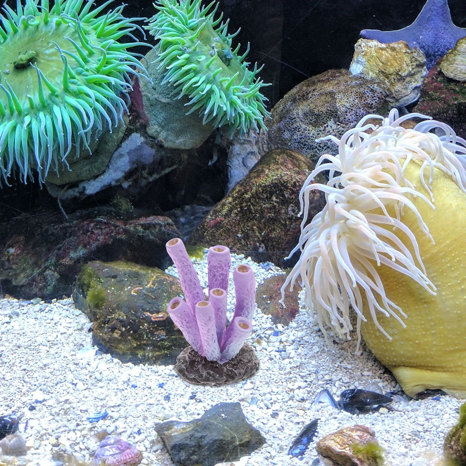 

6Pcs Coral Reef Decor Vivid Resin Aquarium Figurines Small Colorful Fish Tank Ornaments Decorative Aquarium Accessory