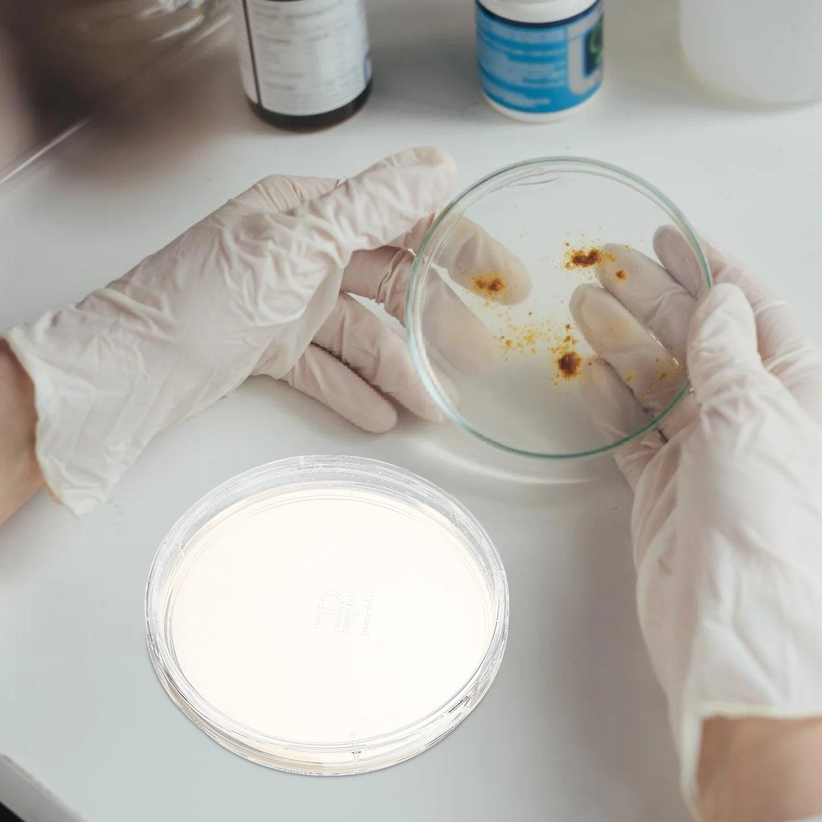 

10Pcs Agar Plates Portable Prepoured Petri Plates for Laboratory Science Project Experiment Supplies Lab Agar Plate