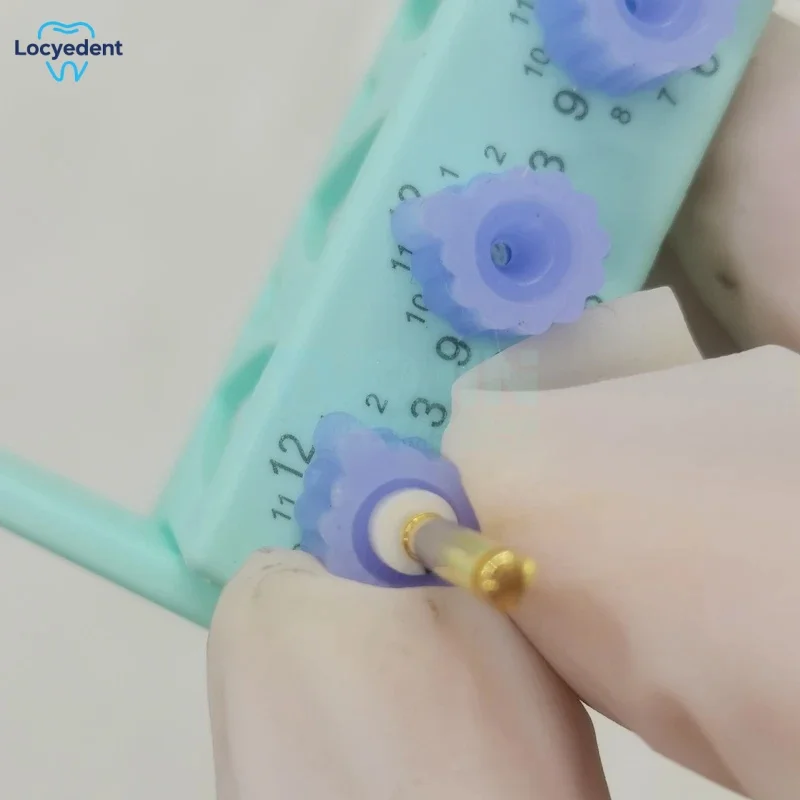 3 pcs 6-Hole Root Canal File Counting Rack Plastic Memory Expanding Needle Disinfection Measuring Counter for Dental Tools