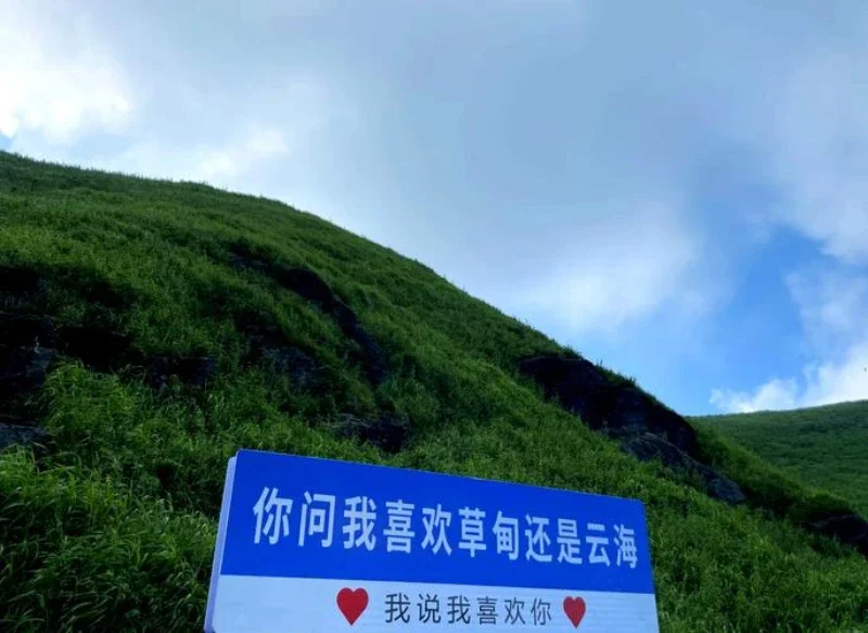 

For GAC Trumpchi gs4 gs3 gs5 gs8 paint pen special ivory white shadow leopard car paint original car paint scratch repair