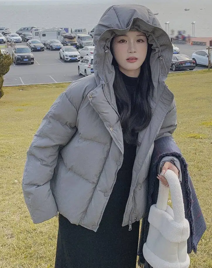 

Parkas Womens Parka Blue Winter Downfilled Patchwork Panelled Snap-Button Full-Zip Stand-Collar Minimalist Outwearing Urban 2025