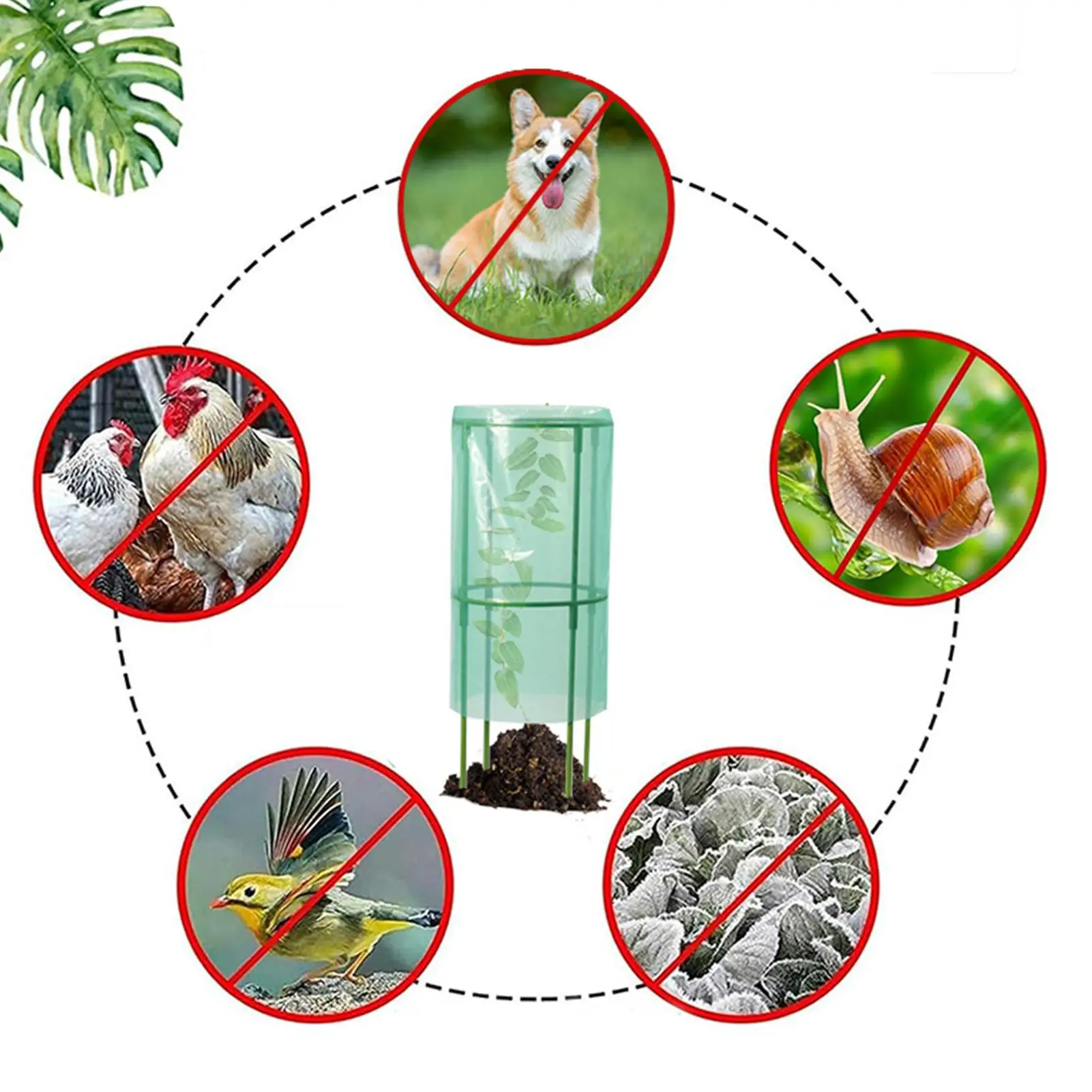 

Garden Plant Protectors From Animals 2 Pieces Seedling Plant Protector Covers For Garden Convenient Installation Protective