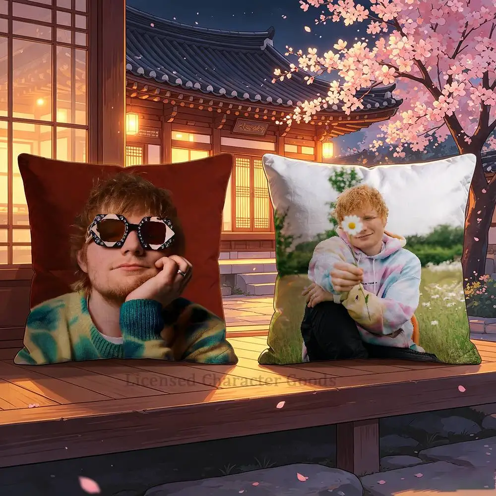 ed S-Sheeran Double Sided Print Soft Throw Pillow Cover Washable RV Camper Interior No Insert