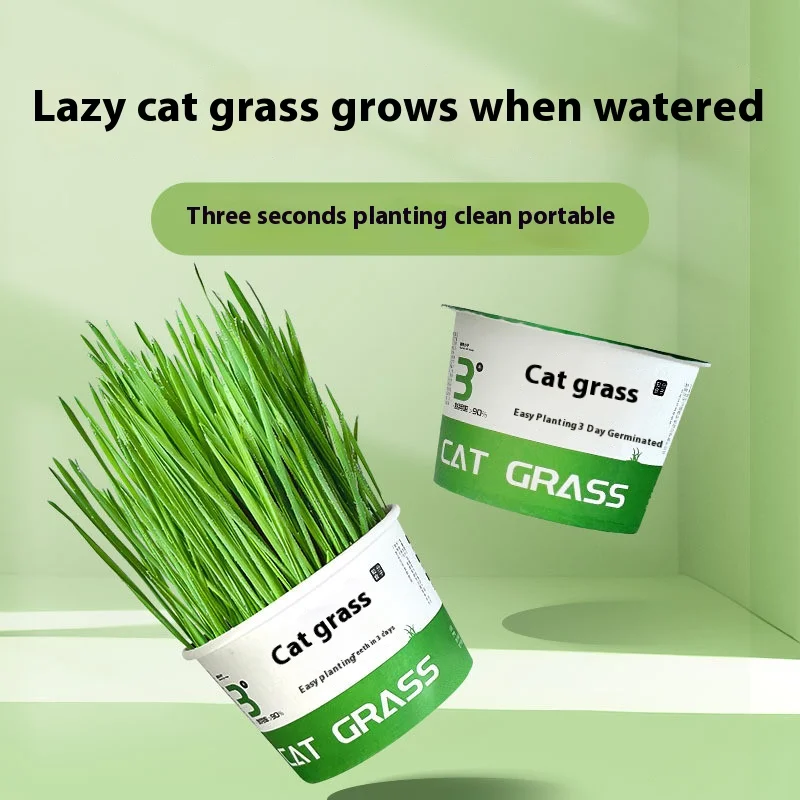 Cat Grass Box Easy Cat Grass Pot Plant Wheat Seeds Help Hair Lazy Hydroponic