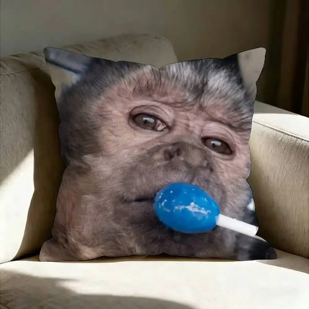 Funny Cute M-Monkey Various Sizes Square Pillow Case For Car Home Bedchamber Decor