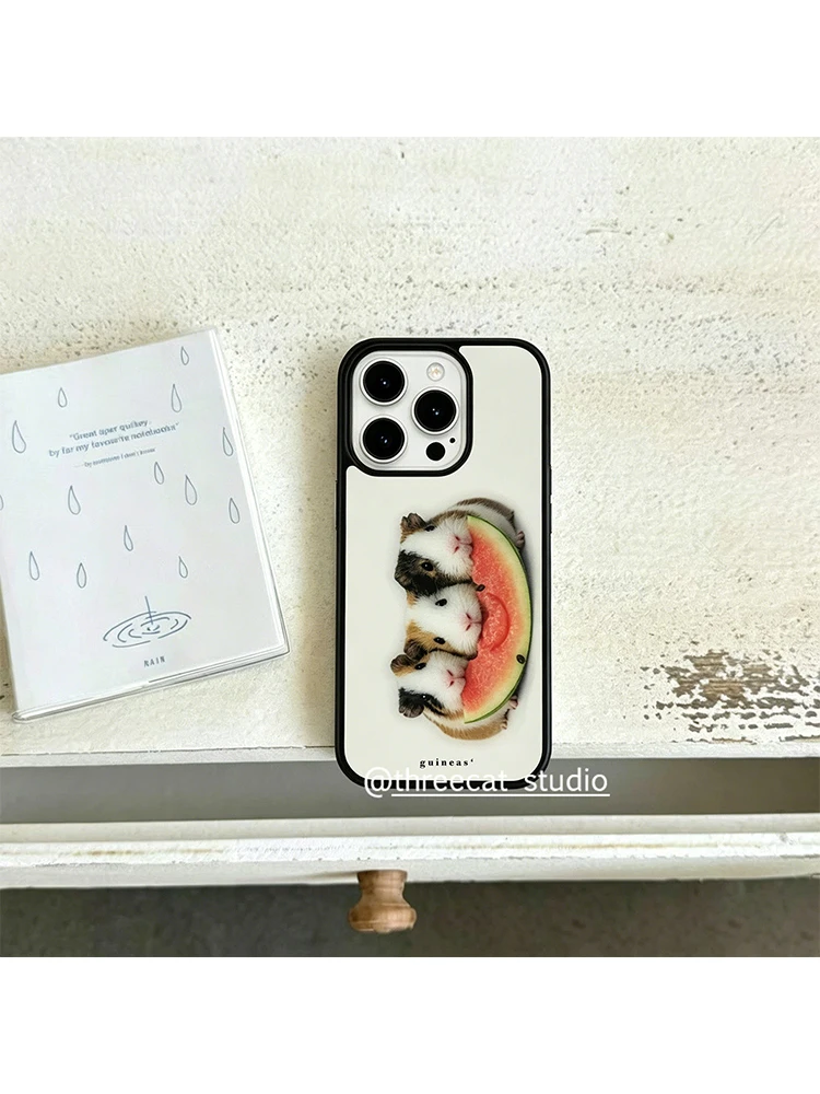 Korean Ins Guinea Pig Eat Watermelon Phone Case For iPhone 17 Air 16 Pro Max 15 14 Plus 13 12 11 Shockproof Silicone Back Cover view 4