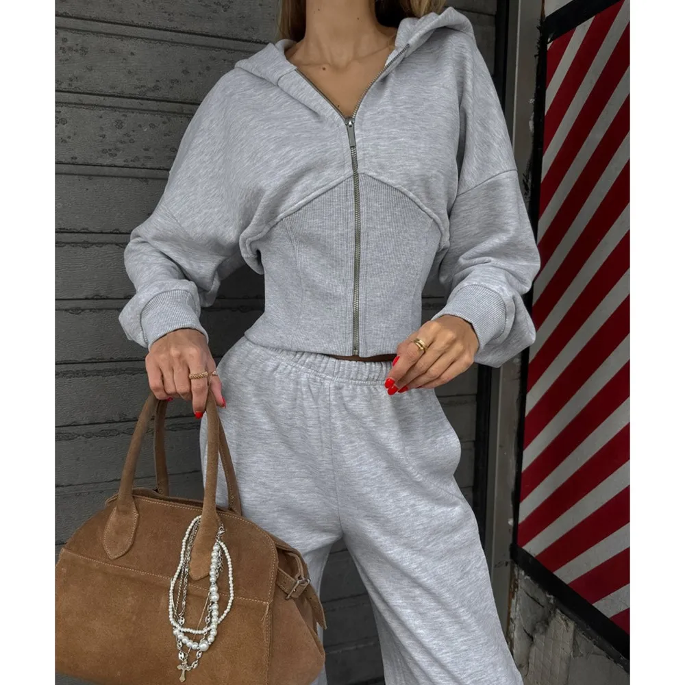 

Women's Two-piece Slim Fit Hooded Zippered Waist Sweatshirt Top Straight Pants Suit Casual Commuting Office Street 2-pieces Set