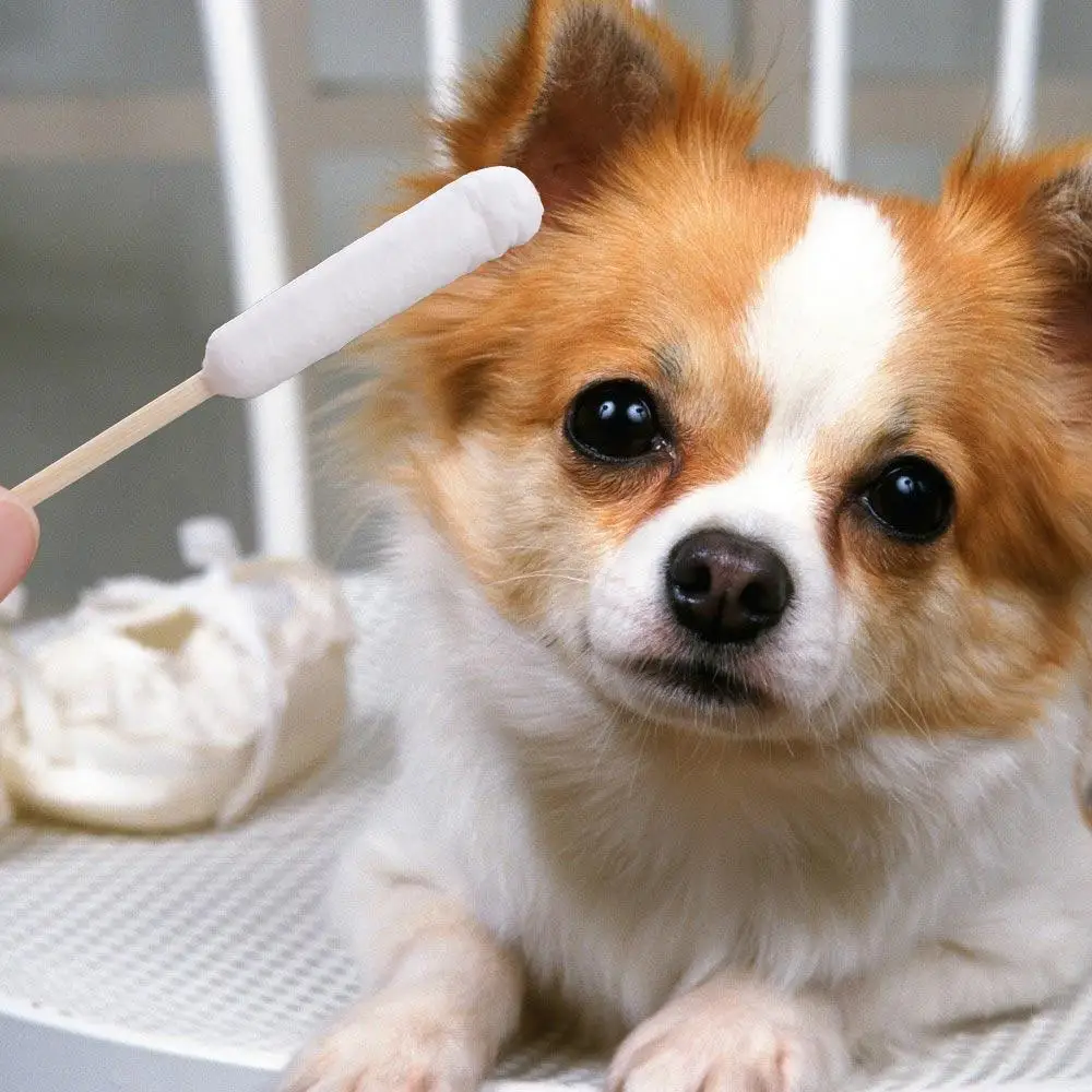 50pcs 15cm Pet Cotton Swabs Single-head Disposable Dog Wash Ear Stick Dirt Removal Cotton Swabs Dog Cotton Buds