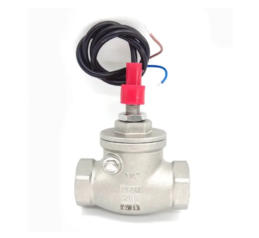 Stainless Steel Paddle Flow Switch DN20 G3/4 SPDT for Boiler Pump Protection