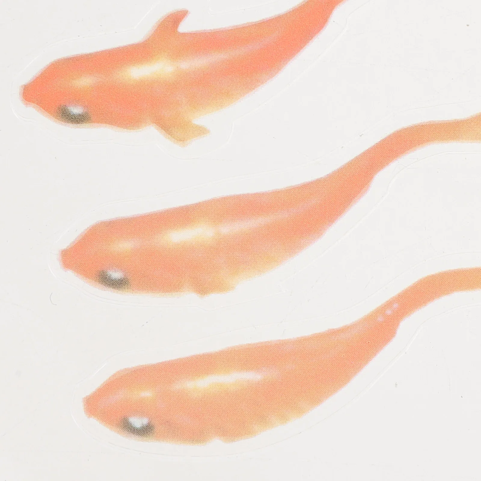 

12 Sheets 3D Small Goldfish Sticker DIY Decorative Resin Epoxy Art for Glass Containers Transparent Surface Bright Color Unique