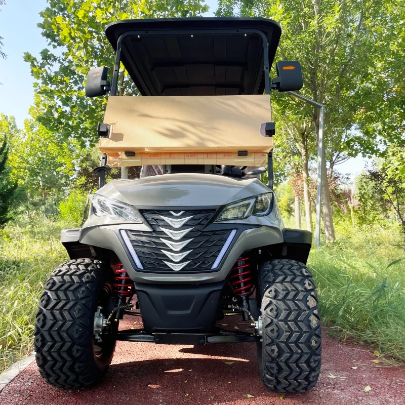 Electric Golf Cart Lithium Battery Golf Cart Eco-Friendly Free Shipping 14 Inch Tires Seat With Headrest Free Custom Color