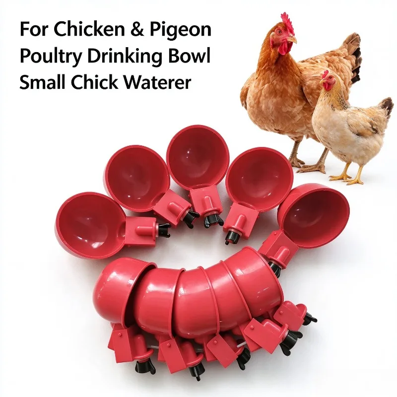 2/10cs Huhn Trinken Schüssel Geflügel Automatische Wasser Dispenser Taube Automatische Wasser Dispenser Kleine Küken Fütterung Schüssel – Detail 1