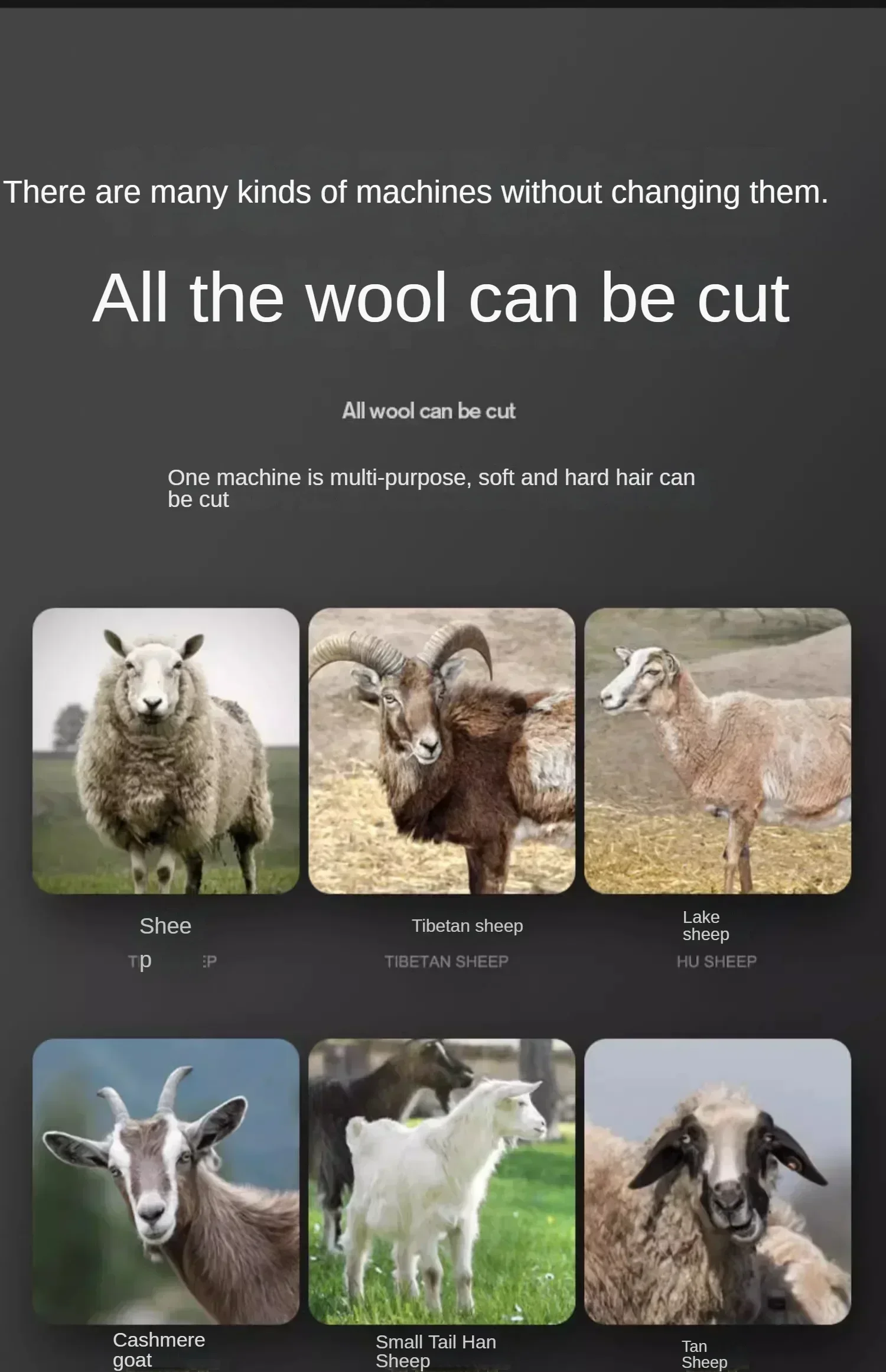 110 V/220 V kabellose elektrische Schafschere, Lithium-Batterie-Haarschneidemaschine mit Ladegerät zum Scheren von Schafen, Ziegen und anderen Nutztieren C