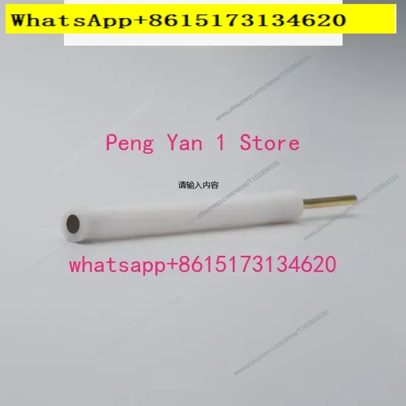 Imported Japanese Glassy Carbon Electrode 1 2 3 4 5mm Auxiliary Modified GC Electrode
