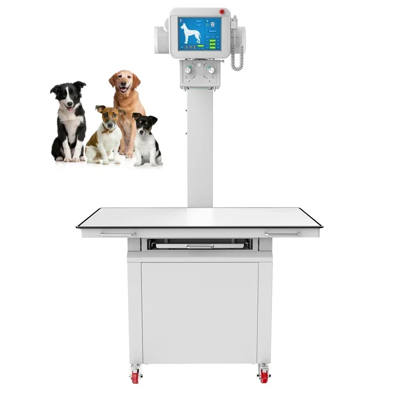 Pet Hospital Diagnostic Equipment with Flat Panel Detector Stationary X-ray Operating Machine Table Veterinary  for