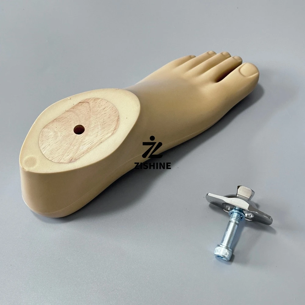 Prosthetic SACH Foot Polyurethane Foot Shell with Wooden Core Stainless Steel Ankle Joint Adapter Set 22cm-29cm Prosthesis