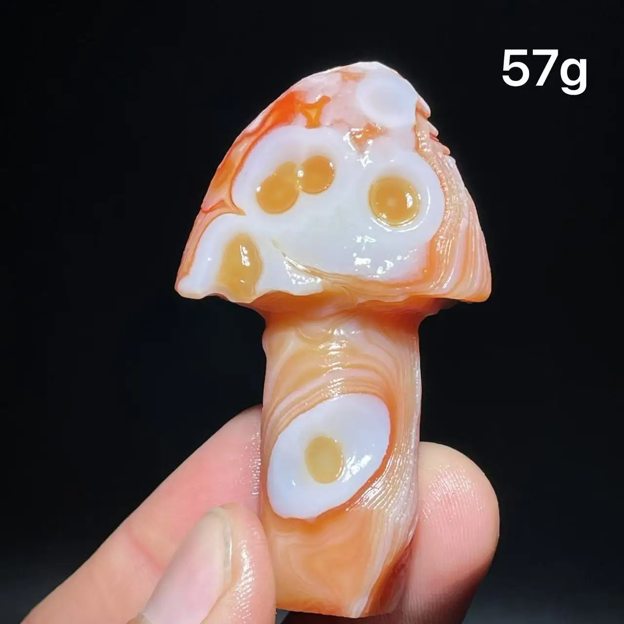 Natural  Agate mushroom Alxa Gobi Eye Mineral Specimen Energy Crystal Chakra Reiki Healing Stone Garden Decor