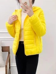 Doudounes en coton léger pour femmes, parkas matelassées à capuche, coupe-vent féminin, vêtements d'extérieur minimalistes, style coréen, hiver, nouveau, 2024