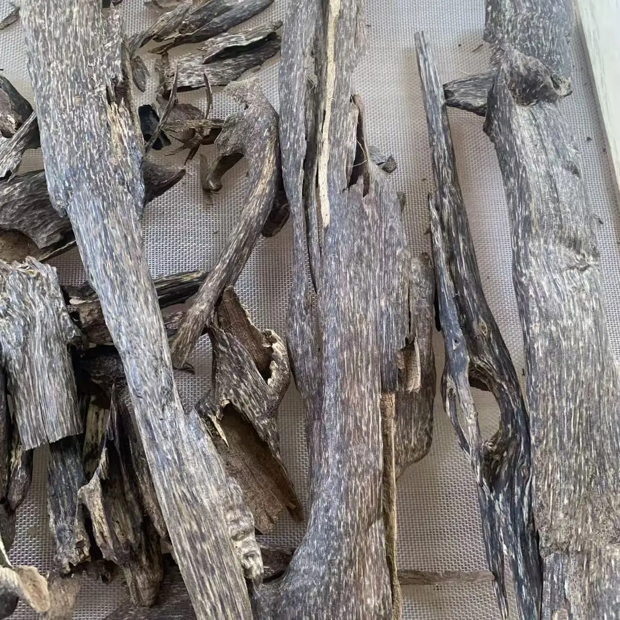 المحافظ الكمبودي النمل العود الكمبودي العربي عود بخور رائحة حلوة للغاية عند حرق