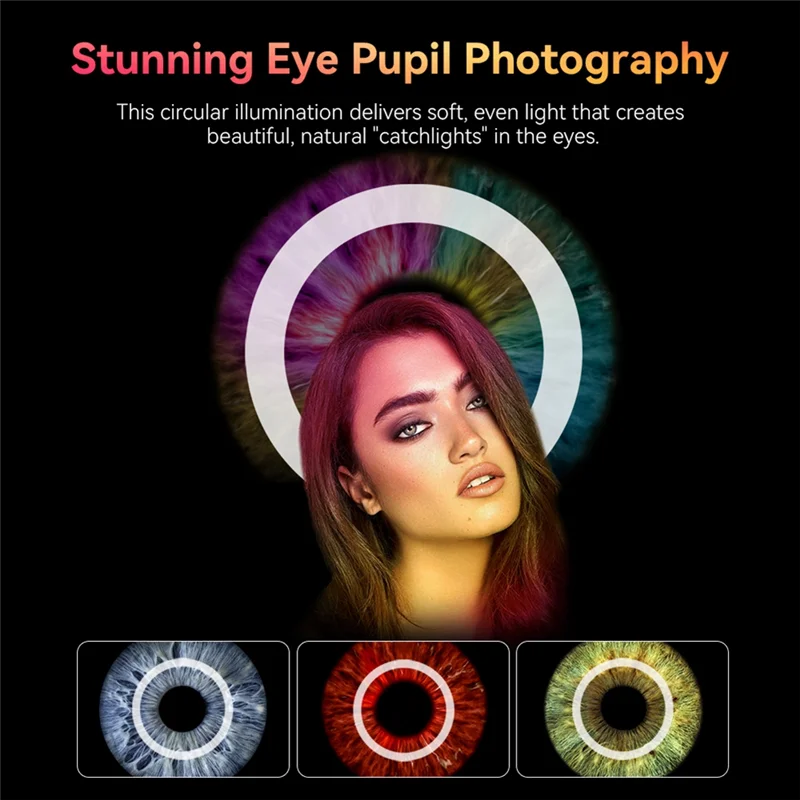 Stabile Leistung – ZM100MM Objektiv-Zoom-Makro, 20-fache Linse, Tele-Makro-Lupe + Makro-Linse, Fülllicht, 3 Farben, 5 Stufen, 2700 K–650