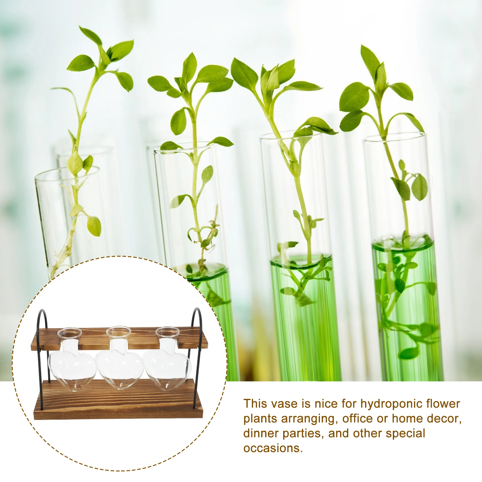 

1 set 1 Set Of Green Plant Container Transparent Glass Terrarium Vase With Wooden Stand For Desktop Home Office Decor Air Plants