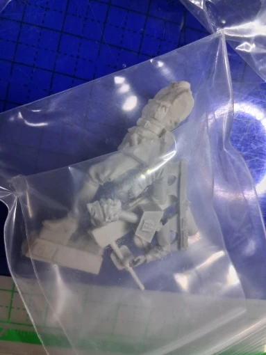 Buyer photo of this resin kit