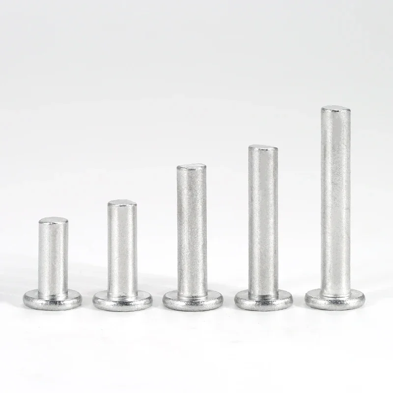 M2 M2.5 M3 M4 M5 M6 M8 Aluminium Solid Rivet Flat Head Hand Percussion Punch Self-plugging Fixed Rivets