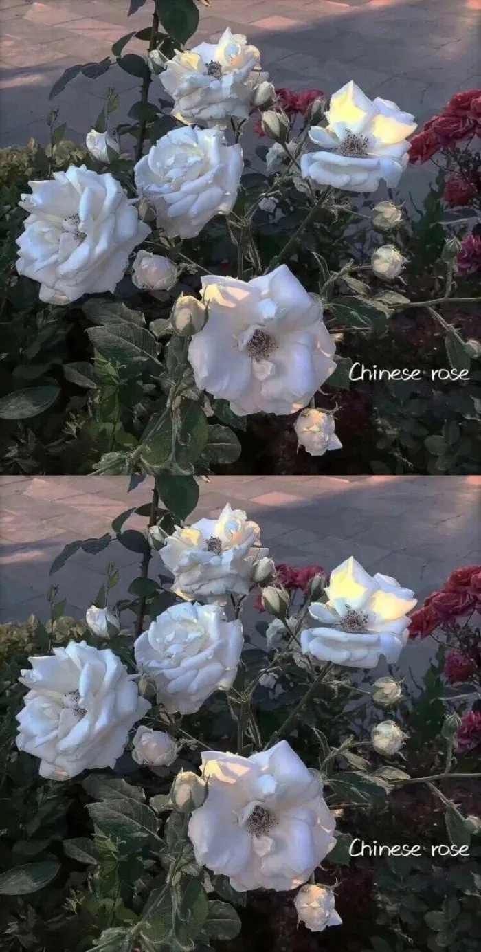 

9pcs upgrade metal parts for Wltoys 12402a 1/12 4WD 2.4G RC Car