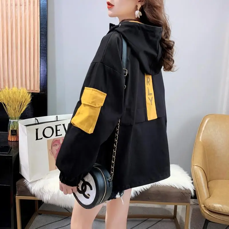 Workwear to Overcome Challenges of Outerwear Women Spring 2024 New Korean Loose and Lazy Style Stylish and Versatile Jacket