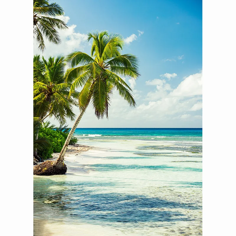 SHUOZHIKE песчаный пляж праздник Лето фотография фон реквизит кокосовое дерево Пейзаж окно фотостудия фон