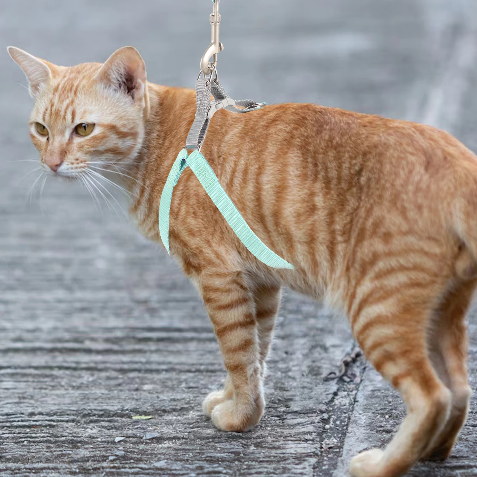 

Cat Harness and Leash Strap Suit Small Animal Kitten Harnesses Leashes for Walking