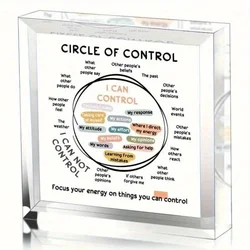 Circle of Control Acrylic Decor, What I Can and Cannot Control Therapy Office Decor, Mental Health Calm Down Corner