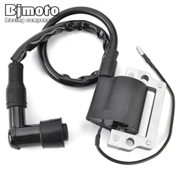 Motorcycle Ignition Coil Assy For Yamaha FS1 LB50 GT80G DT80 DT100 DT125 DT175 DT250 DT400 XT250 YZ50 YZ60 TT250 RS100 TY50