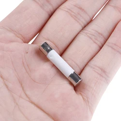 10 Pcs Microwave Ceramic Fuse Electric 20A 250V Home Supplies DIY 6x30mm