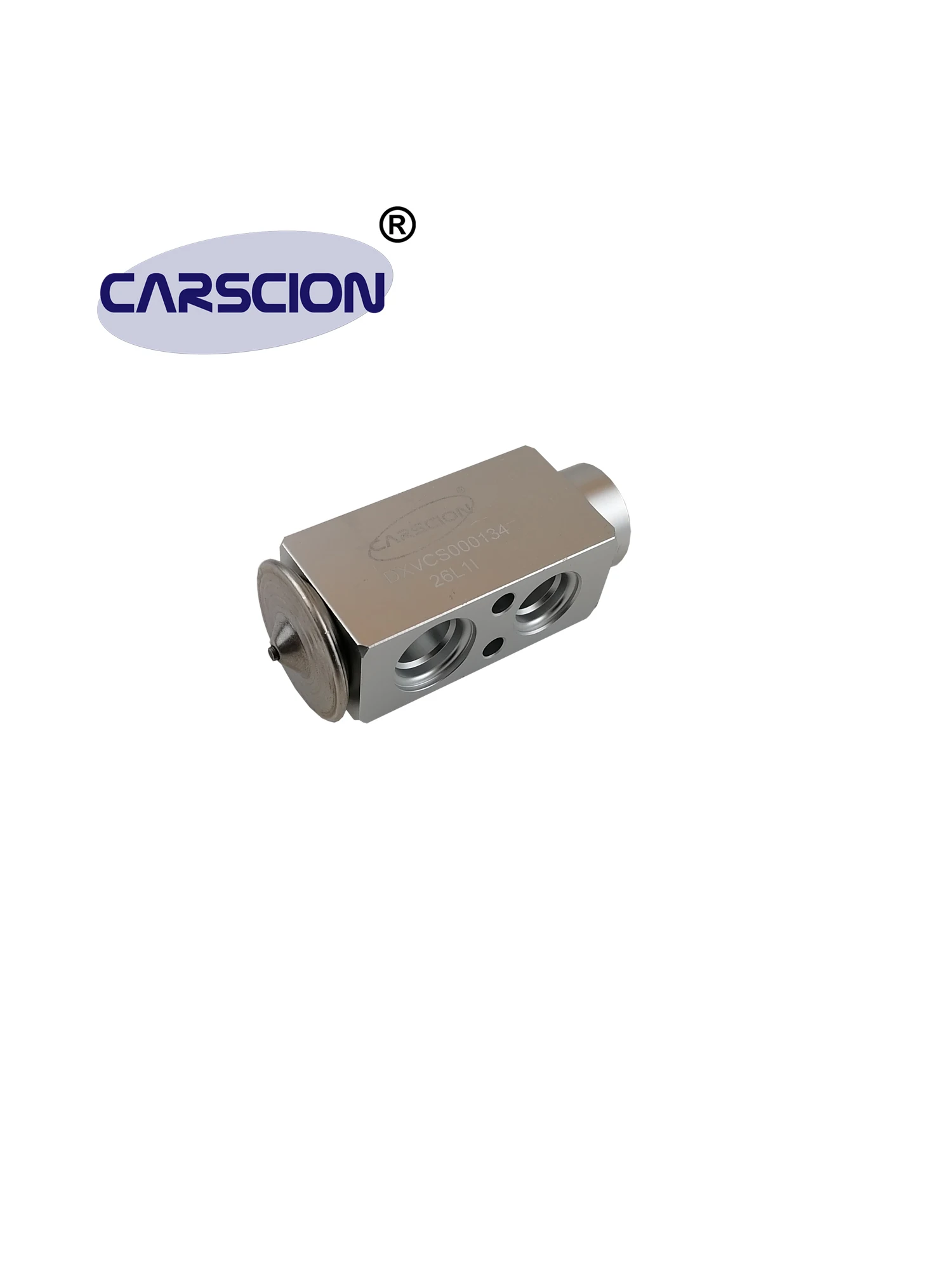 CARSCION Expansion Valve, Fit Mercedes Benz G55,G63,G65 AMG,G550,G500,VIANO 2.0L L4 2016-2021,0048304184,DXV0001