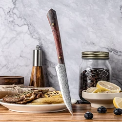 Grandsharp Damascus Kitchen Knife Japanese Damascus Steel Utility Tomato Paring Kitchen Knives Home Cooking Tools Wooden Handle