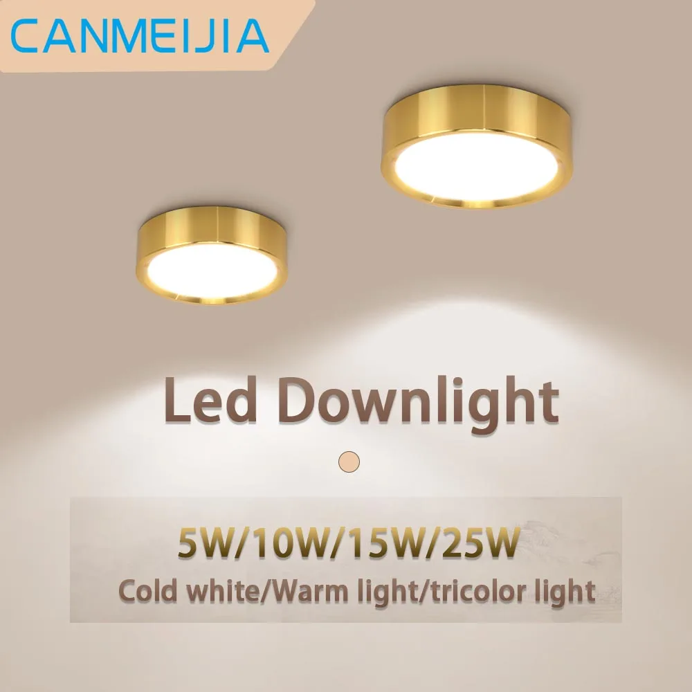 

Led Ceiling Light Gold LED Downlight Surface Mounted Down Light Thin Panel Spotlight Indoor Ceiling Light for Livingroom Kitchen