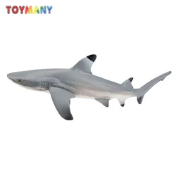 Toymany Simulation Blacktip Reef Shark Ocean Animal Model Toy Mini Figures Dolls Action Figurines Toys for Children Gift