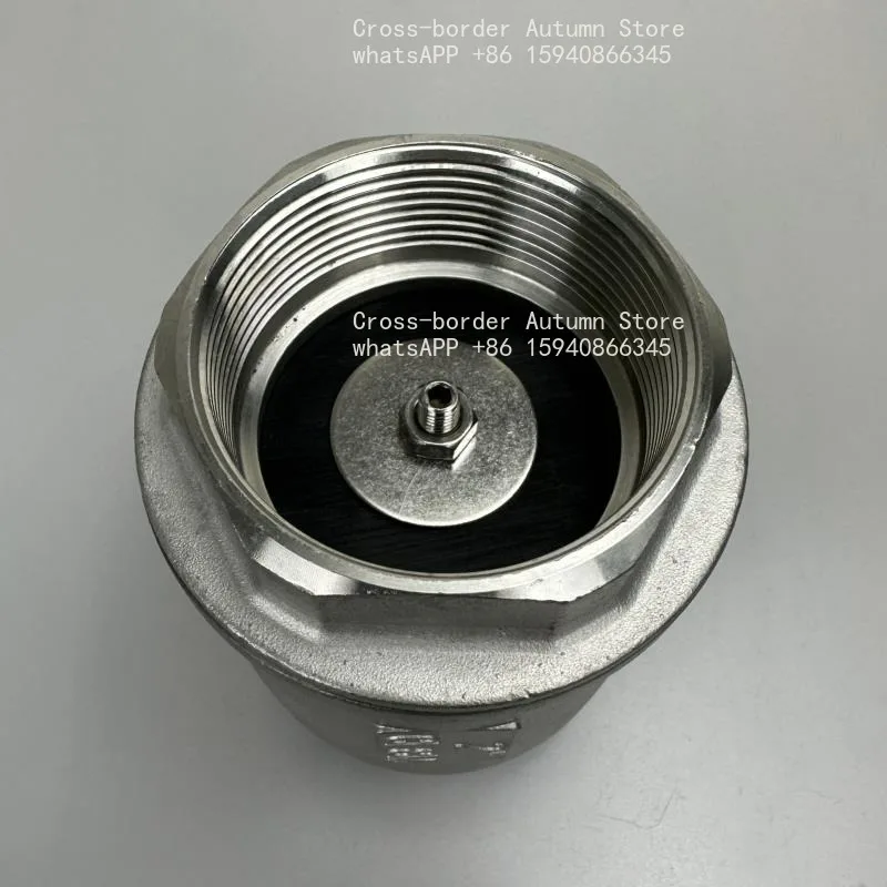 304 stainless steel vertical check  valve H12 check valve, water pump spring vacuum water pipe 1 inch 2 inches