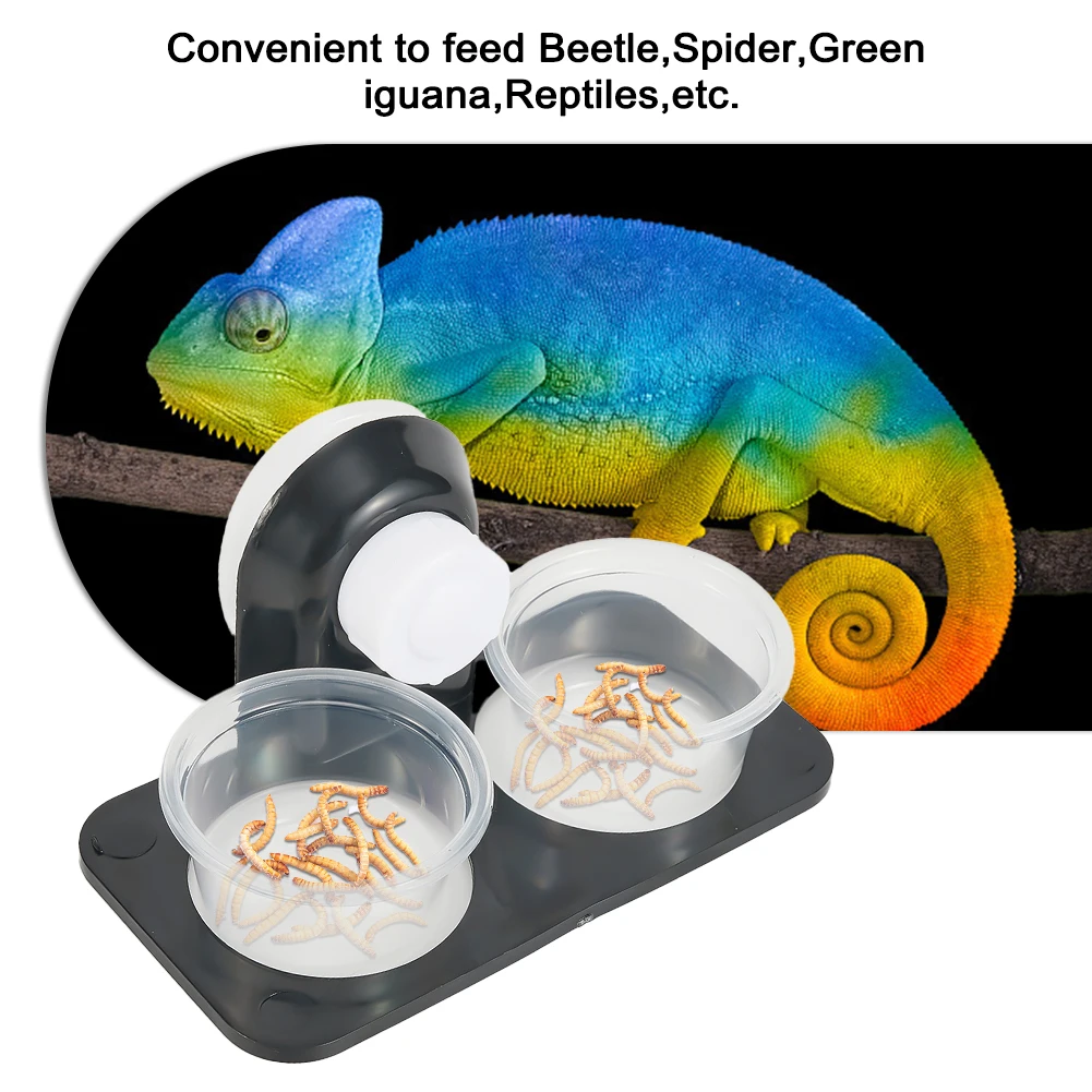 Reptiles Suction Cup Feed Bowls Food Container with Bowl for Reptile Food and Water Feeding Reptile Feeders Pets Supplies