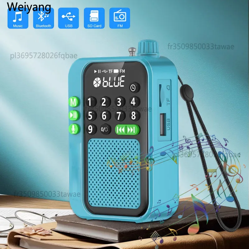 2025 Mini-Radio mit Bestem Empfang, FM-Radios, Tragbarer Kabelloser Bluetooth-Lautsprecher, HD-Recorder, Unterstützt TF-Karte, USB-Stick, Timer-Abschaltung