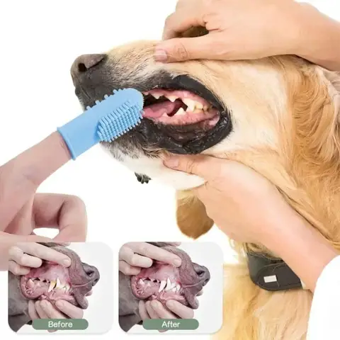 개 고양이 치아 청소 손가락 칫솔 개용 고양이 치아 보관 케이스 포함 |   식품 등급 실리콘 고무 강모