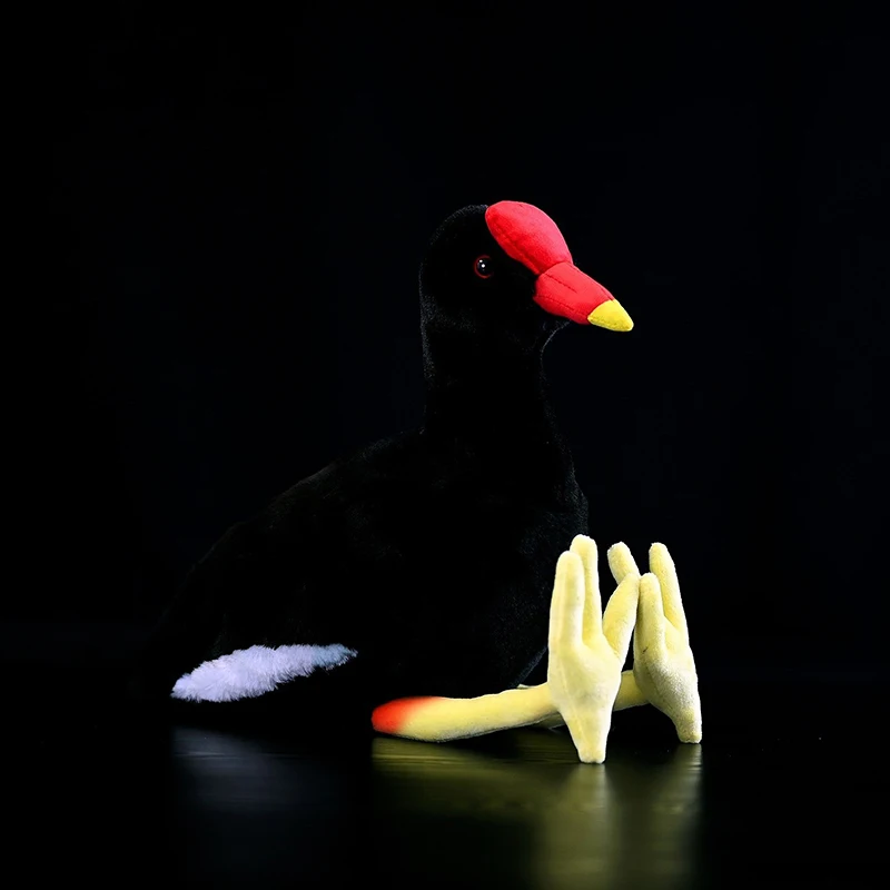 Gallinula Chloropus Stuffed Plush Toy High Fidelity Chicken Animals Common Moorhen Soft Plushie Simulation Lifelike Doll Gift