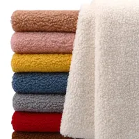 45cmx50cm Lamb Wool Fabric Thickening Warmth Coral Fleece Plush Sweater Blanket Coat Doll Lining DIY Apparel Sewing FabricTJ8548