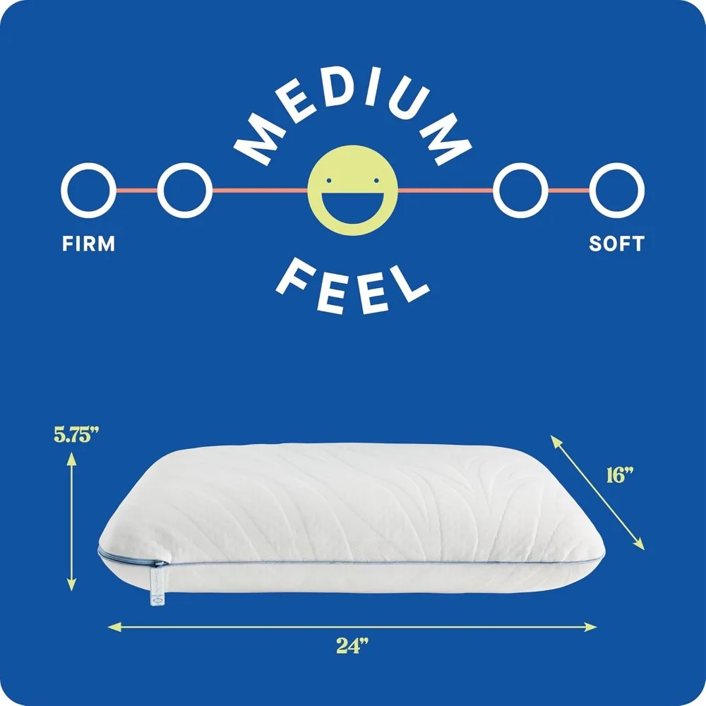 Queen Size Cooling Memory Foam Pillow with Washable Cover, 2-Pack White for All Sleep Positions