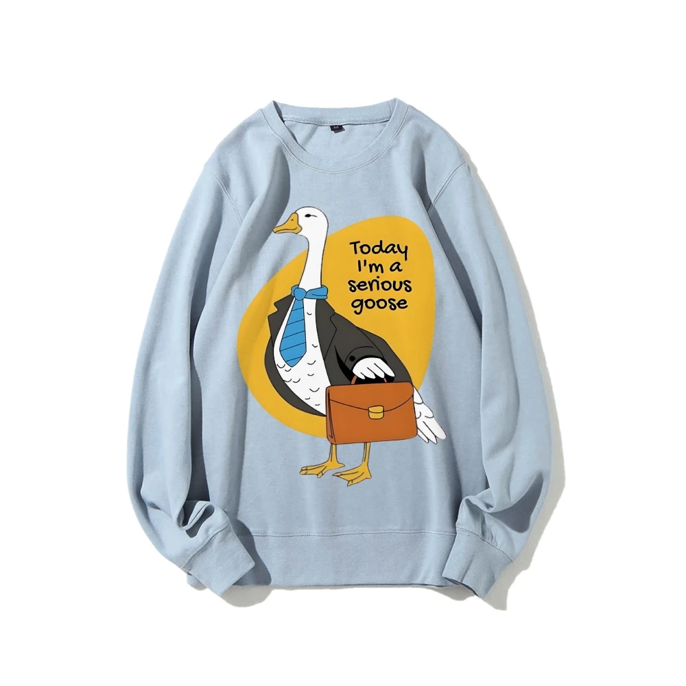Sweat-shirt à col rond décontracté, sweat à capuche graphique Serious Goose, en coton de qualité supérieure, surdimensionné, imprimé coloré, Style Y2K drôle